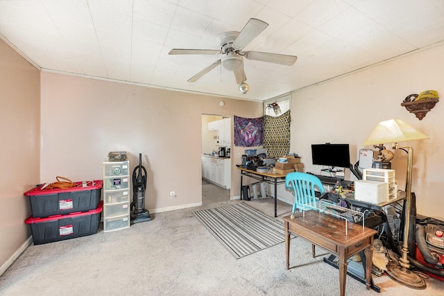 815 Mckaig Ave, Troy, OH 45373 - office space featuring a ceiling fan, carpet, and baseboards