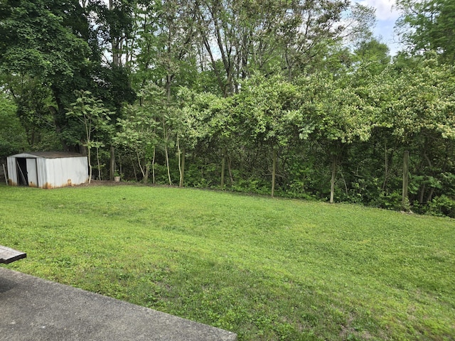 1134 Cedarview Dr, Springfield, OH 45503 - view of green lawn