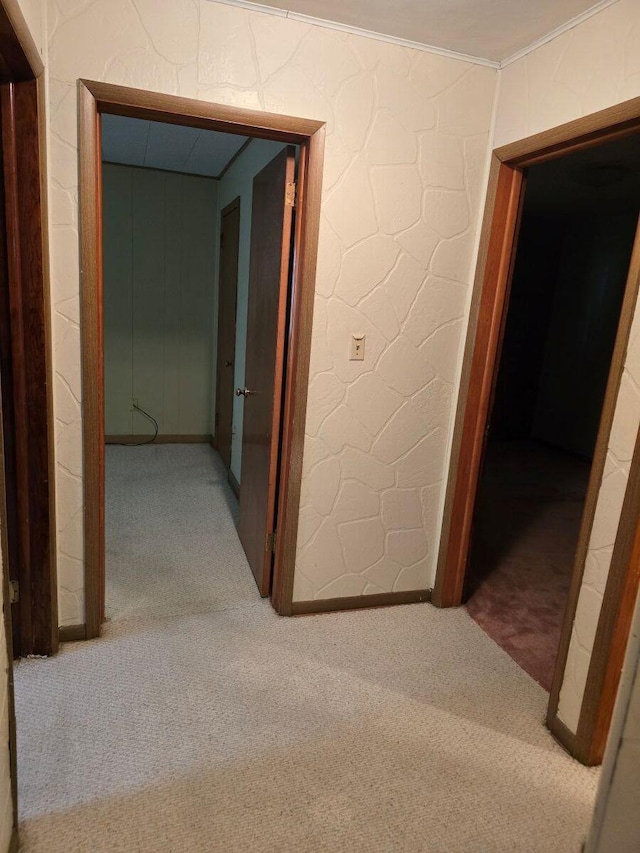 1134 Cedarview Dr, Springfield, OH 45503 - corridor featuring carpet flooring, ornamental molding, and baseboards