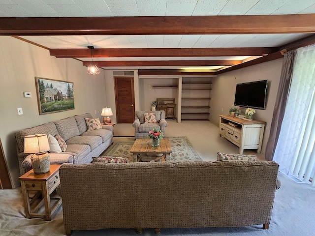 1134 Cedarview Dr, Springfield, OH 45503 - living area with carpet floors and beam ceiling