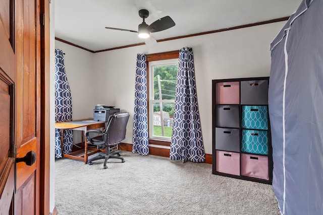 119 College St, Urbana, OH 43078 - photo 21