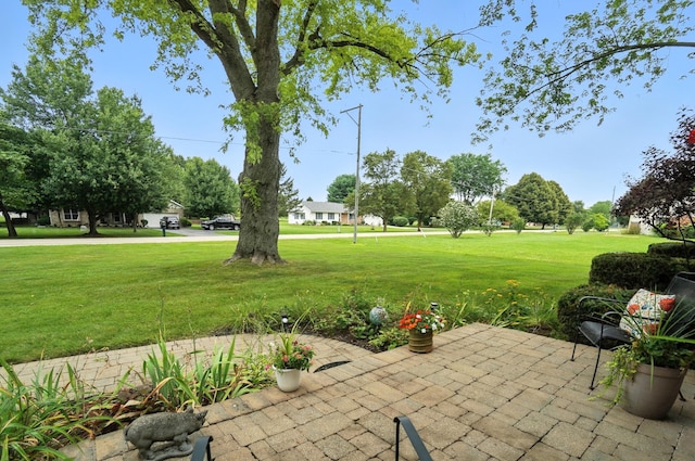 4543 Mumper Rd, Springfield, OH 45502 - photo 6