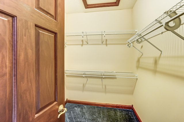 spacious closet with carpet