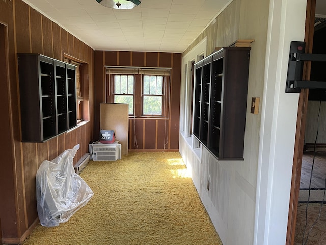 interior space with wood walls and carpet floors
