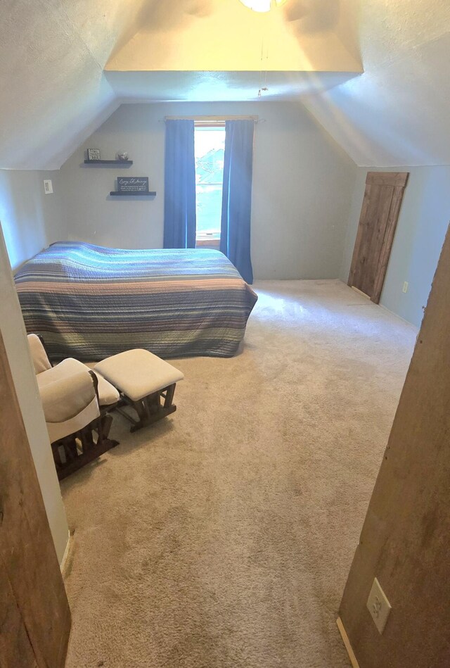 10141 Mohawk Dr, Huntsville, OH 43324 - carpeted bedroom featuring lofted ceiling