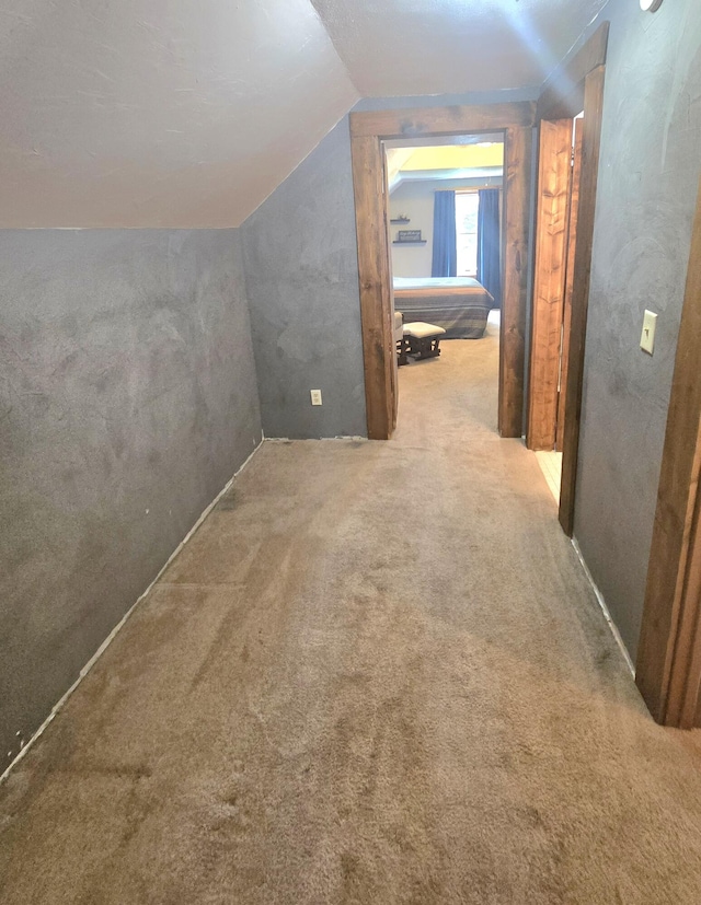 10141 Mohawk Dr, Huntsville, OH 43324 - additional living space with lofted ceiling and carpet