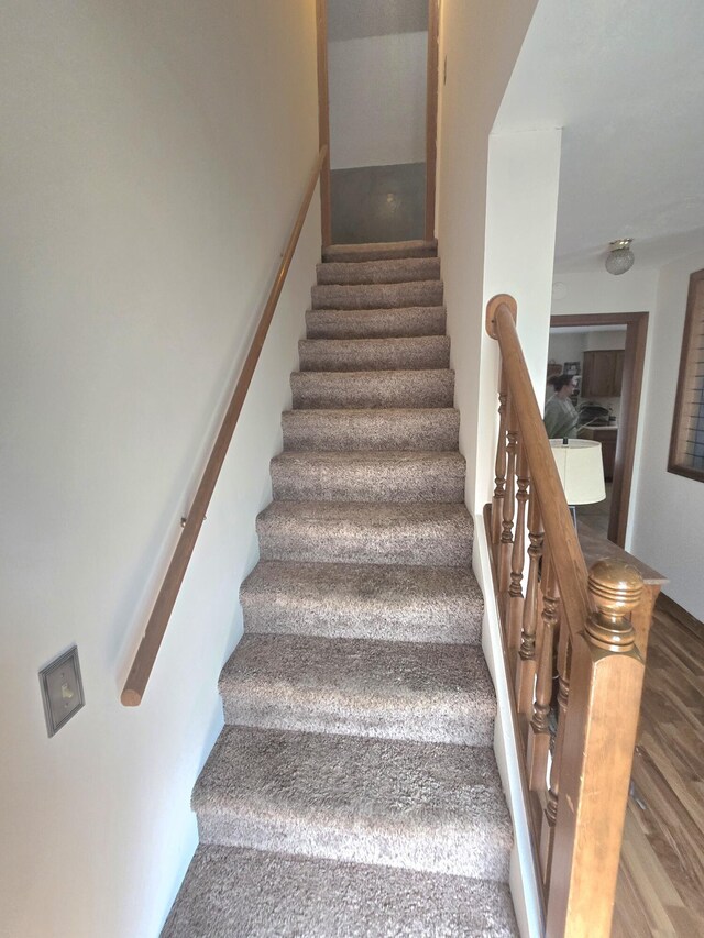 10141 Mohawk Dr, Huntsville, OH 43324 - stairs with wood finished floors