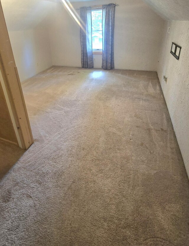 10141 Mohawk Dr, Huntsville, OH 43324 - additional living space with carpet flooring, vaulted ceiling, and a textured wall