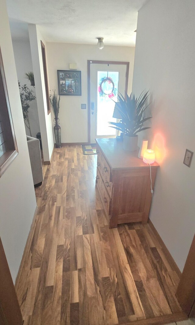 10141 Mohawk Dr, Huntsville, OH 43324 - hallway with wood finished floors