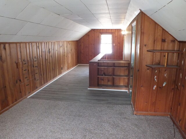 324 E Maplewood Ave, Dayton, OH 45405 - bonus room featuring lofted ceiling, wooden walls, and carpet floors