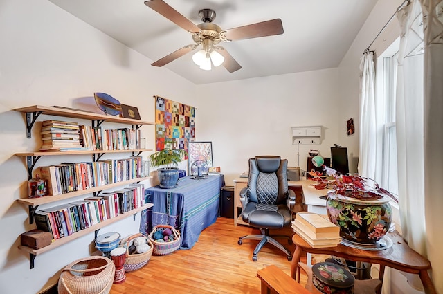 3727 Groves Rd, Lima, OH 45805 - office space with wood finished floors and ceiling fan