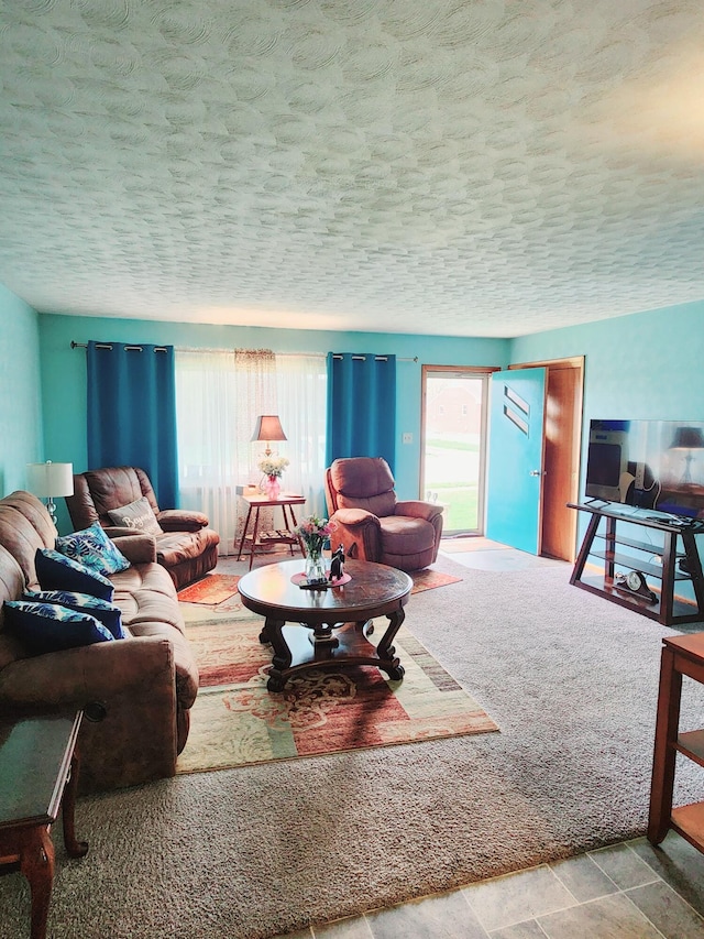 living room featuring a textured ceiling