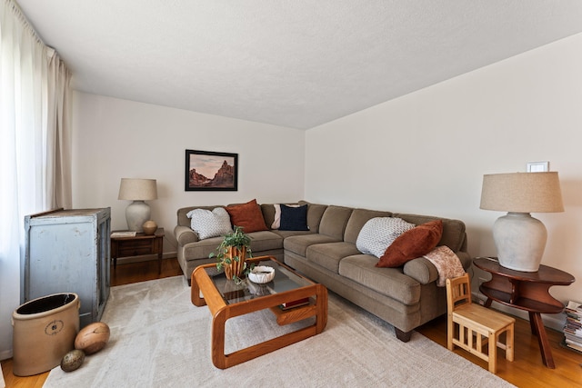 542 Lohnes Dr, Fairborn, OH 45324 - living room featuring light wood-type flooring