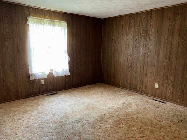 9050 N State Route 49, Greenville, OH 45331 - empty room featuring wood walls and carpet flooring