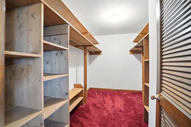 8041 Oldtown Rd, Celina, OH 45822 - photo 29