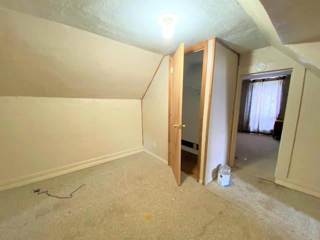 116 N Mill St, De Graff, OH 43318 - additional living space with carpet, vaulted ceiling, and baseboards