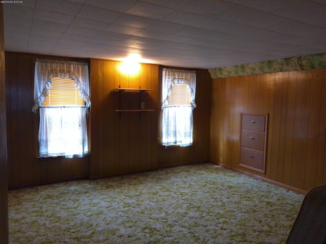 102 S Franklin St, New Bremen, OH 45869 - carpeted empty room featuring wooden walls and plenty of natural light