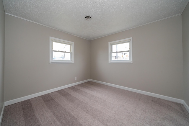 carpeted empty room featuring ornamental molding, plenty of natural light, and a textured ceiling