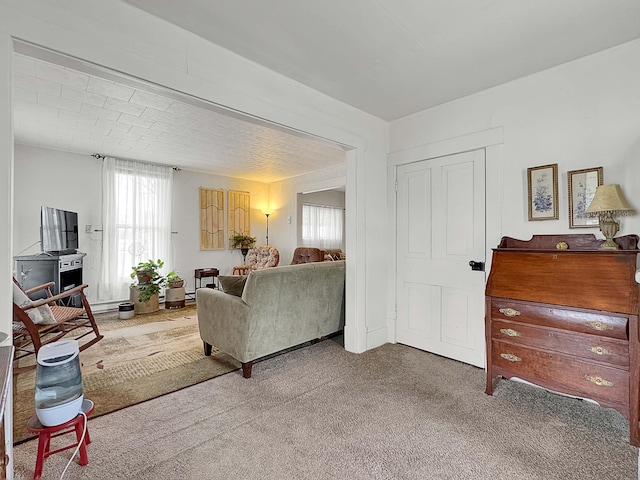 living room featuring carpet floors