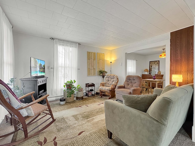 living room featuring carpet floors