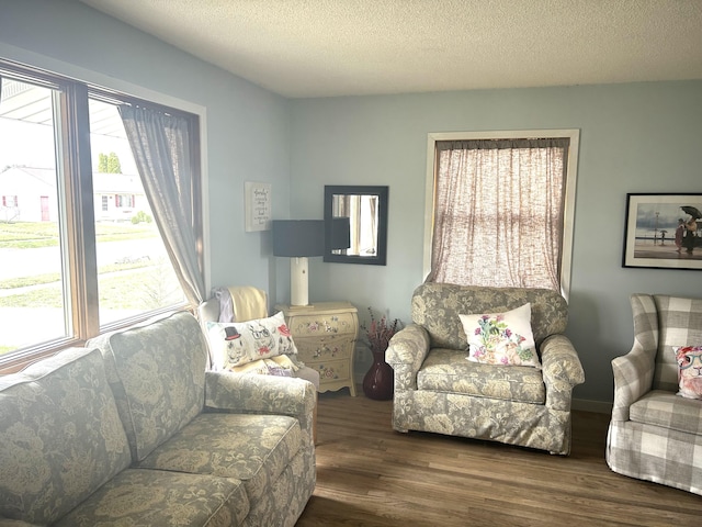 living area featuring wood finished floors and a textured ceiling