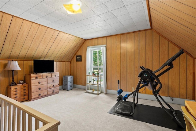 402 E Baird St, West Liberty, OH 43357 - exercise area featuring vaulted ceiling, carpet flooring, and wood walls