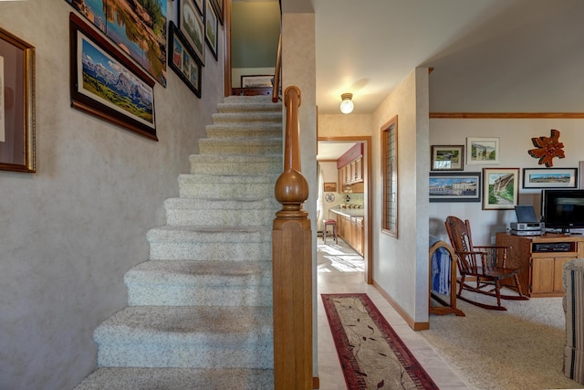 staircase featuring carpet flooring and baseboards