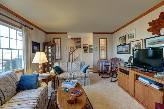 carpeted living room featuring stairway and crown molding