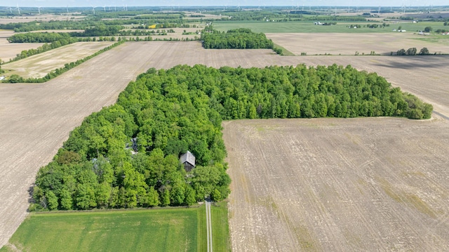 4602 State Route 273, Belle Center, OH 43310 - overview of rural landscape featuring abundant farmland