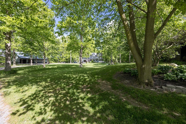 4602 State Route 273, Belle Center, OH 43310 - view of grassy yard