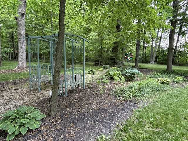 4602 State Route 273, Belle Center, OH 43310 - view of yard