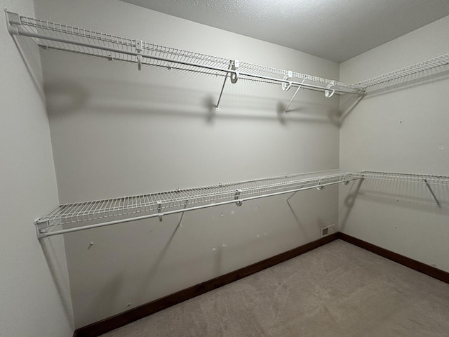 4602 State Route 273, Belle Center, OH 43310 - walk in closet featuring carpet floors