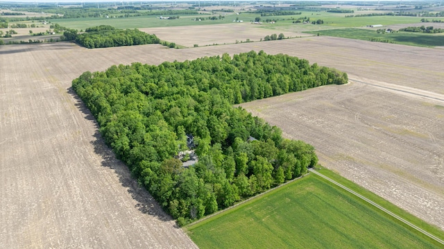 4602 State Route 273, Belle Center, OH 43310 - overview of rural landscape featuring rows of crops