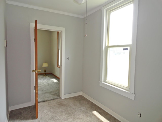 203 N Koke St, De Graff, OH 43318 - carpeted spare room featuring ornamental molding and baseboards