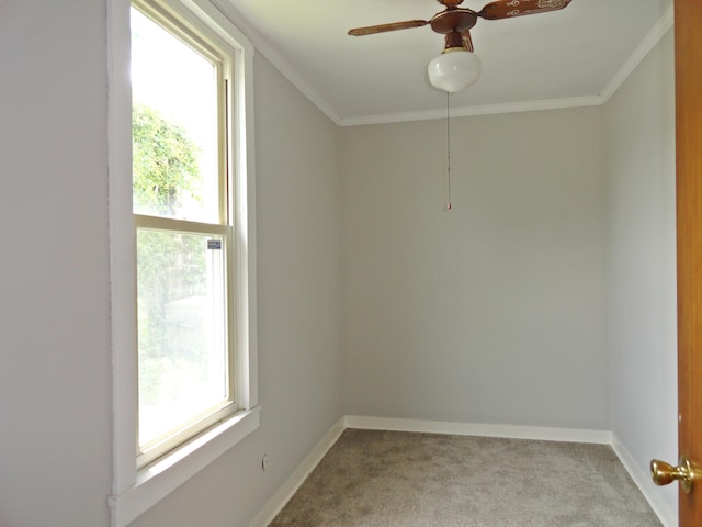 203 N Koke St, De Graff, OH 43318 - spare room with healthy amount of natural light, ornamental molding, carpet floors, and ceiling fan