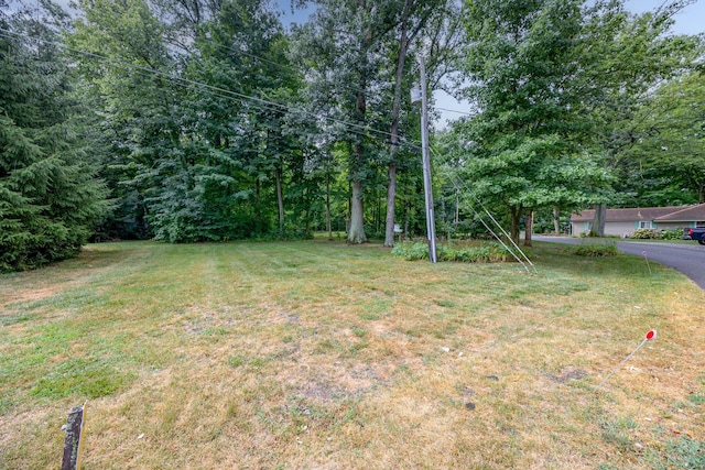 9699 Lake Breeze Dr, Belle Center, OH 43310 - photo 96