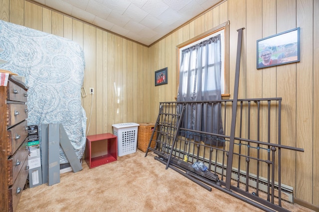 interior space featuring light carpet, wood walls, and ornamental molding