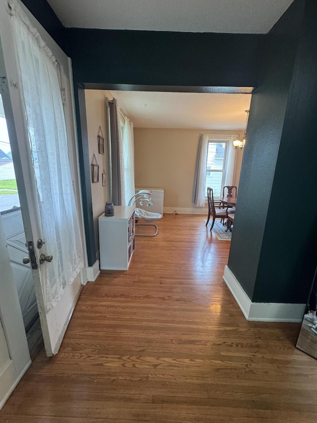 411 Middle St, Wapakoneta, OH 45895 - corridor with wood finished floors, a chandelier, and baseboards