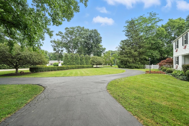 650 Swailes Rd, Troy, OH 45373 - view of asphalt driveway with view of wooded area
