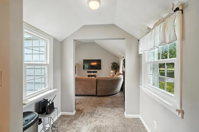 650 Swailes Rd, Troy, OH 45373 - living room with carpet, vaulted ceiling, and healthy amount of natural light