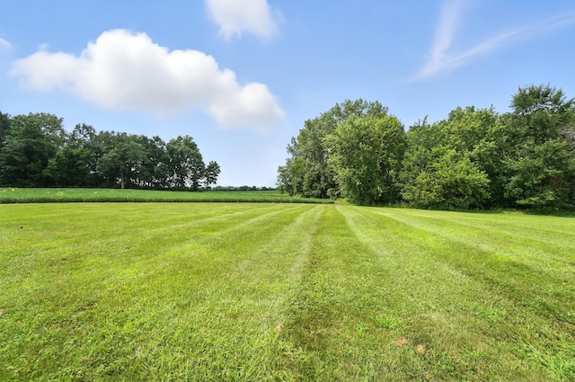 1035 E Possum Rd, Springfield, OH 45502 - photo 46