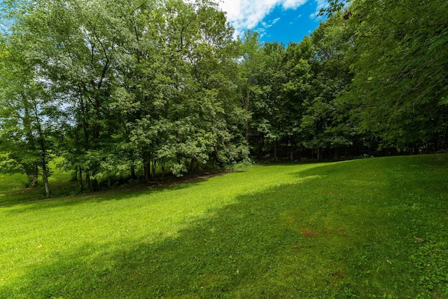 107 Main St, Wilkesville, OH 45695 - photo 38