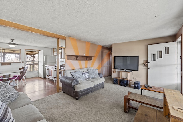 living room featuring carpet floors and a textured ceiling