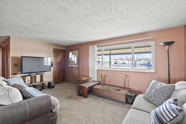 carpeted living room with a textured ceiling