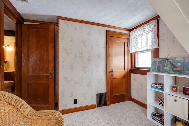 living area featuring carpet flooring and a textured ceiling