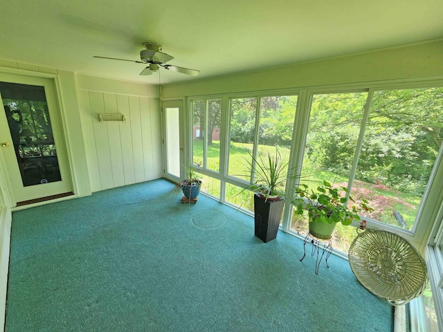 851 E County Line Rd, Springfield, OH 45502 - photo 24