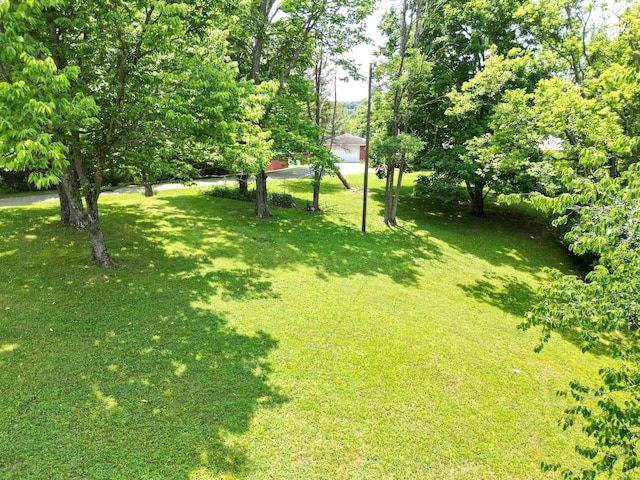 851 E County Line Rd, Springfield, OH 45502 - photo 61