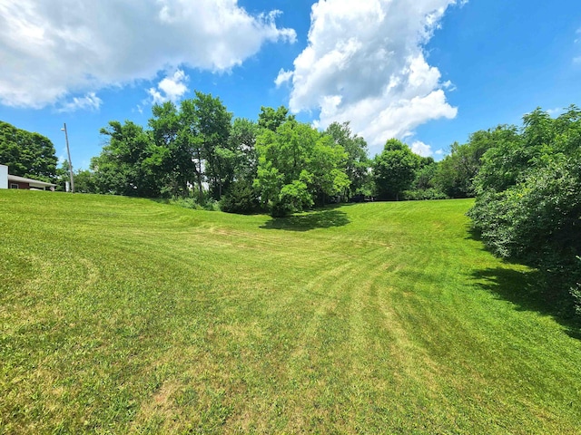 851 E County Line Rd, Springfield, OH 45502 - photo 49