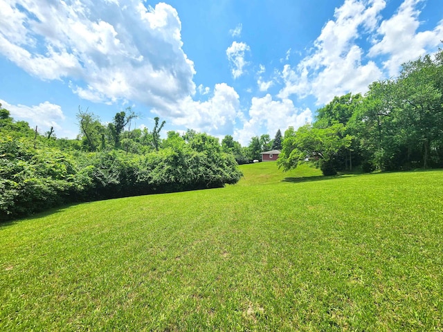 851 E County Line Rd, Springfield, OH 45502 - photo 50