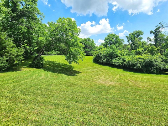 851 E County Line Rd, Springfield, OH 45502 - photo 48